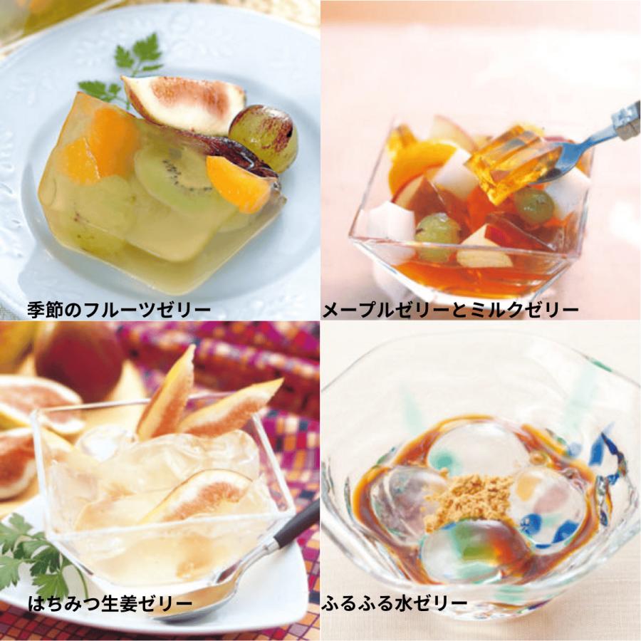 とも イナアガーL 500g 新品未開封 伊那食品 イナアガーL 500g かんてんぱぱ 寒天 粉末 業務用 製菓
