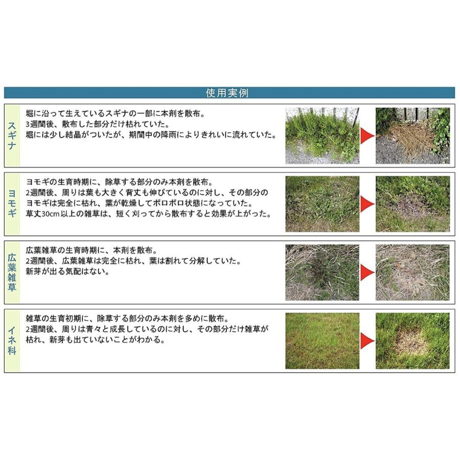 人にやさしい除草剤 5l 1w 人とペットと環境に配慮した 100 完全無農薬 の安全な 除草剤 日本製 M Fill Online 通販 Yahoo ショッピング