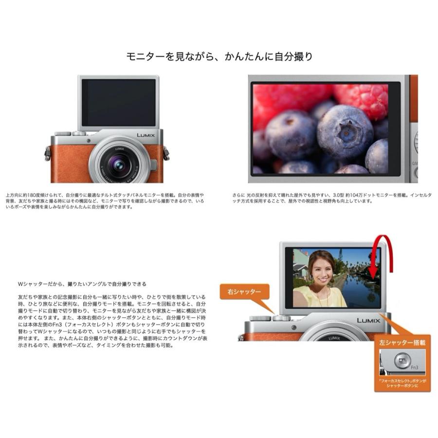 Panasonic LUMIX GF9 ズームレンズキット Amazon | パナソニック ミラーレス一眼カメラ ルミックス GF9