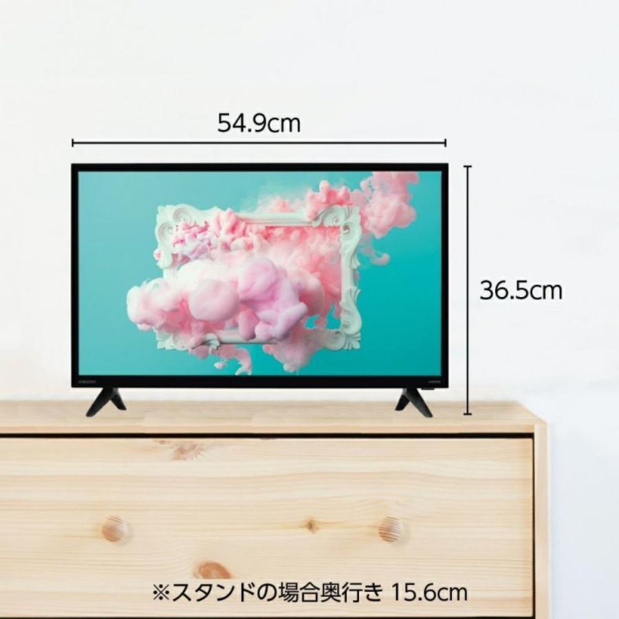 DOSHISHA ORION ハイビジョン液晶テレビ OMW24D10 【公式通販】