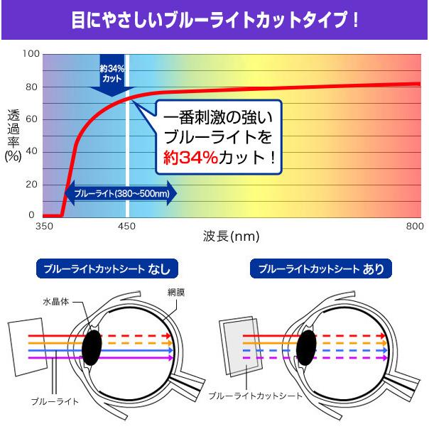 4.5インチ(16:9) 汎用サイズ OverLay Eye Protector 低反射 ブルーライトカット 映り込みを抑える 保護フィルム(100x56mm)｜film-visavis｜04