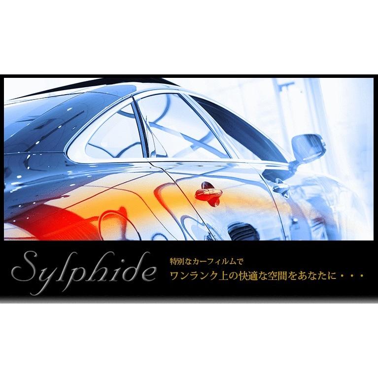 Smork ランクル300 JA300系 2021.8- 高品質、高精度、高透明カット済み