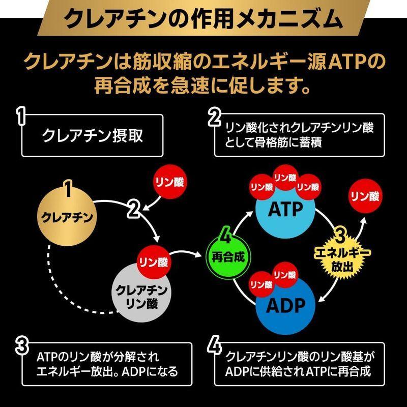 期間限定特価】 バルクスポーツ クレアチン モノハイドレート パウダー 高純度原料 Creapure 100%使用 500g 5,000mg x 100食分 期間限定特価】 バルクスポーツ クレアチン モノハイドレート パウダー 高純度原料 Creapure 100%使用 500g 5,000mg x 100食分