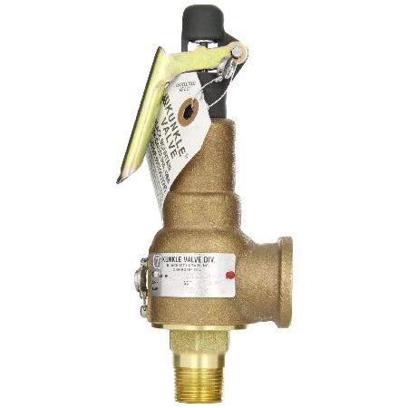 Kunkle　6010EDE01-AM0150　Bronze　x　Preset　Relief　Safety　Pressure,　Inlet　Valve　Male　Soft　NPT　4&quot;　150　Female　EPR　Outlet　ASME　NPT　Steam,　1&quot;　for　Seat,