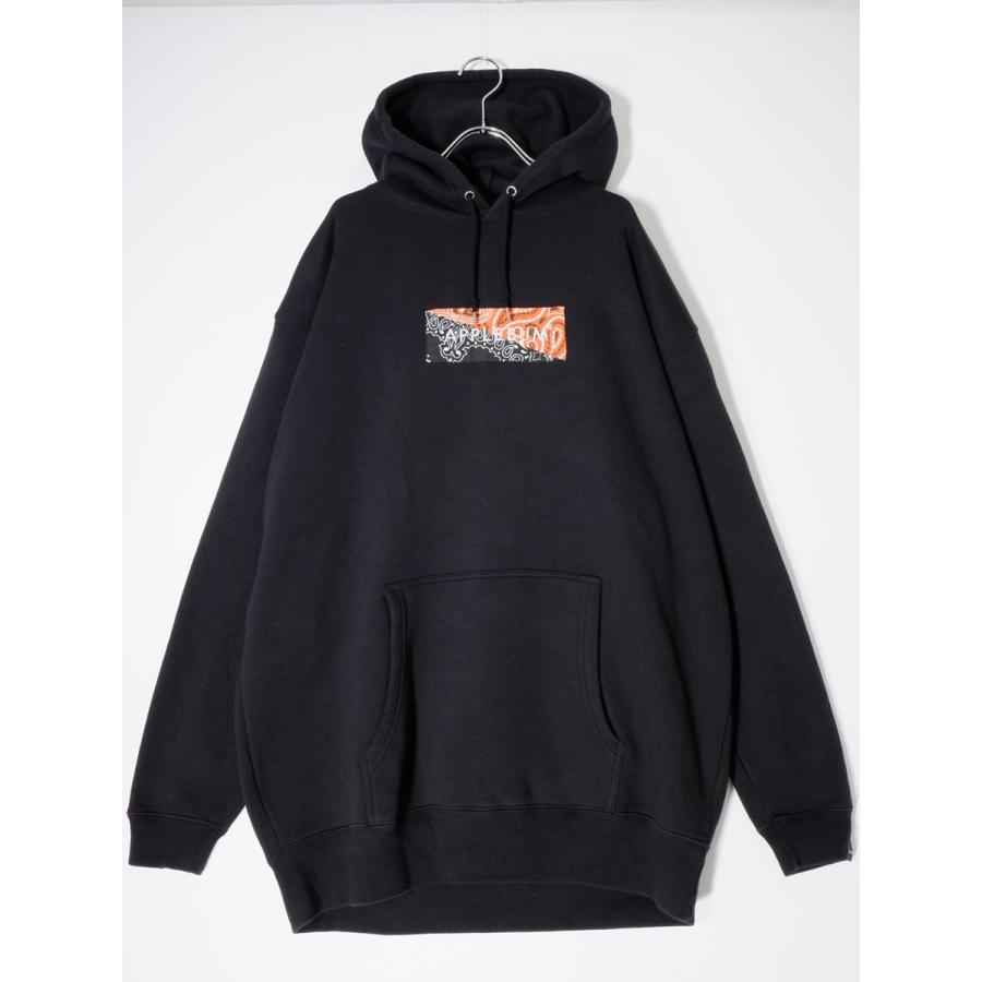 APPLEBUM/アップルバム Bandanna Box Logo Sweat Parka バンダナ  