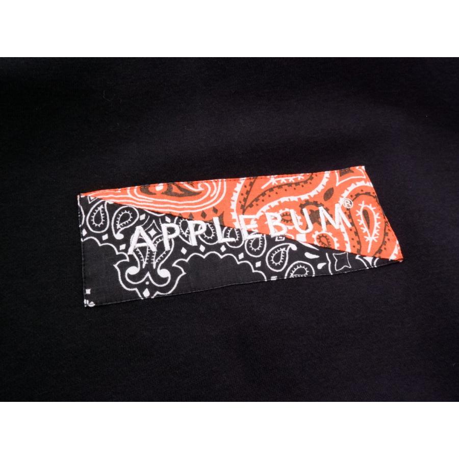 APPLEBUM/アップルバム Bandanna Box Logo Sweat Parka バンダナ  
