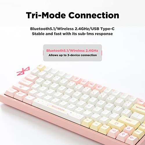 YUNZII YZ84 75％ホットスワップ可能メカニカルキーボード 2.4G / USB-C/Bluetoothキーボード RGBバックラ USB YUNZII YZ84 75％ホットスワップ可能メカニカルキーボード 4G C/Bluetoothキーボード