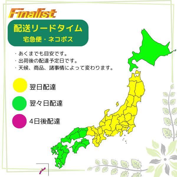 舞台屋 S スティックファンデーション プロ愛用 社交ダンス メイク 舞台 宝塚 デモ ステージ カバー力 ネコポス |  | 09