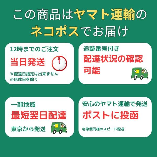 社交ダンス シューズベルト クリア 2足組｜透明で目立たない 脱げ防止 ダンスシューズバンド |  | 04