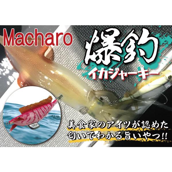 Macharo様オーダー確認用 macharo マチャロ 爆釣 イカジャーキー 40g : FIND C - 通販 - Yahoo