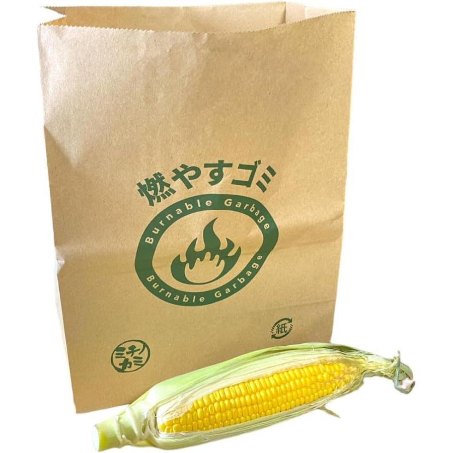 ゴミ袋 紙製 紙袋 自立 角底袋 クラフト紙 100枚入（50枚×2） 幅25cm×高さ33cm×マチ14cm |  | 03