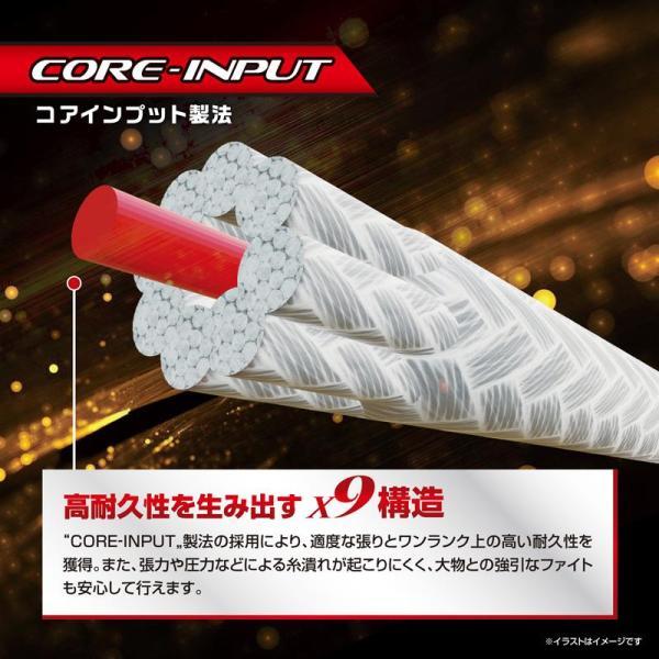 VARIVAS（バリバス） アバニ ジギング10X10マックスパワーPE X9 300m