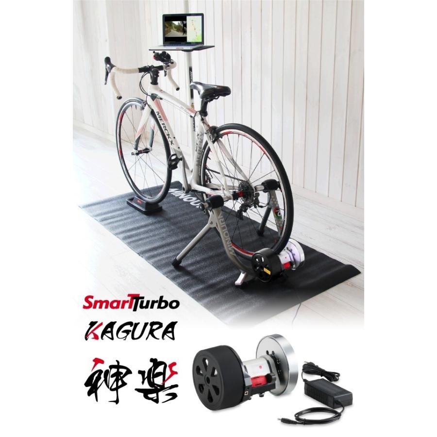 内祝い】 MINOURA ミノウラ LiveRoll R730 R730R用アクションブリッジ QR スルー兼用 自転車 トレーナー ミノウラ MINOURA 防振パッドセット(2個入) トレーナーオプション (4944924406950) 自転車 アクセサリー 自転車 bebike