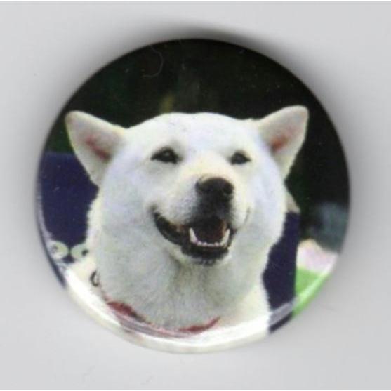 缶バッジ 白い犬 Cba 004 Find Corp 通販 Yahoo ショッピング