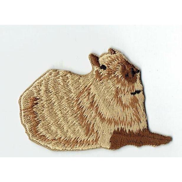 刺繍アイロンワッペン（カピバラ） : FIND Corp. - 通販 - Yahoo