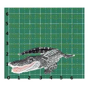 刺繍アイロンワッペン（ワニ） : FIND Corp. - 通販 - Yahoo!ショッピング