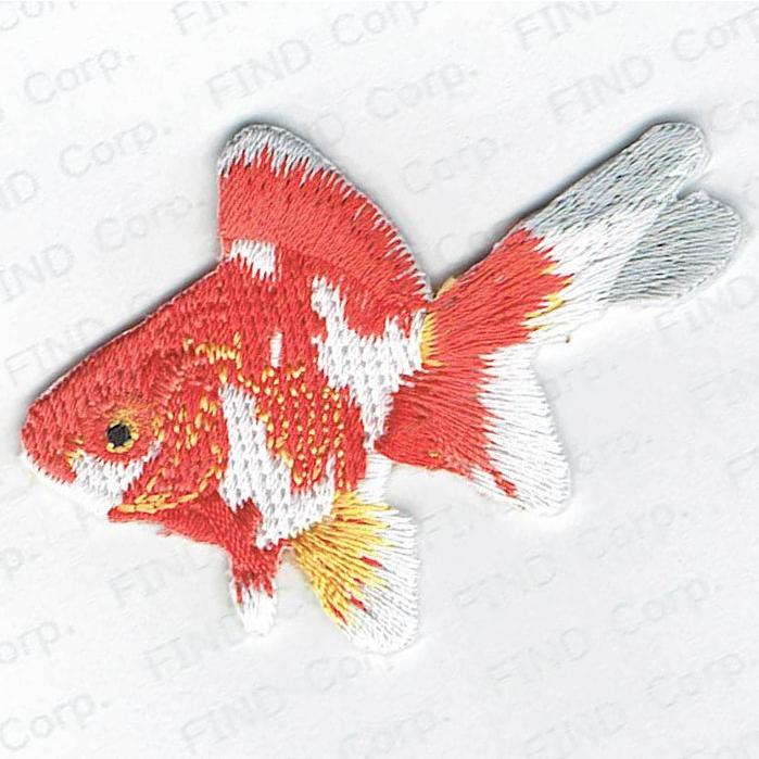 金魚ページ 金魚 更紗蝶尾 MS 個体サイズ約：4〜5cm [生体] : アクアペット