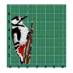 刺繍アイロンワッペン鳥（キツツキ／アカゲラ） : FIND Corp. - 通販