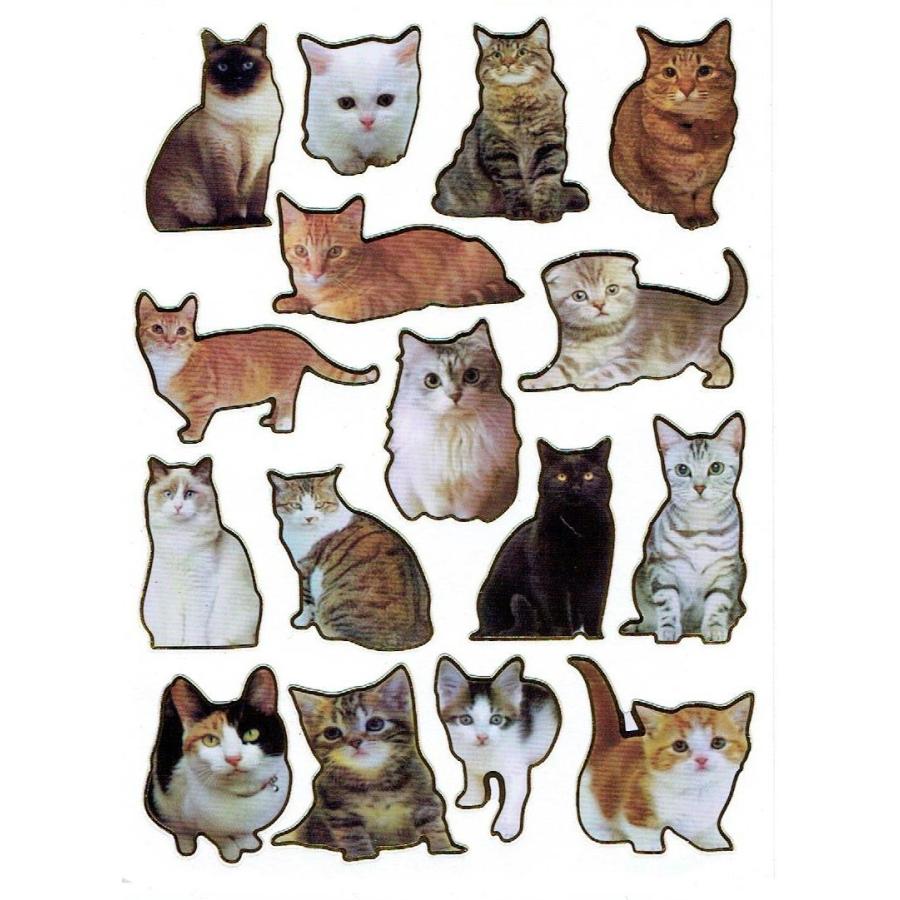 キラキラシール（ねこ/ネコ） : FIND Corp. - 通販 - Yahoo!ショッピング
