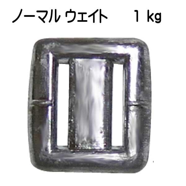 鉛 ウエイト 1キログラム ノーマルウェイト1kg : ダイビング専門店