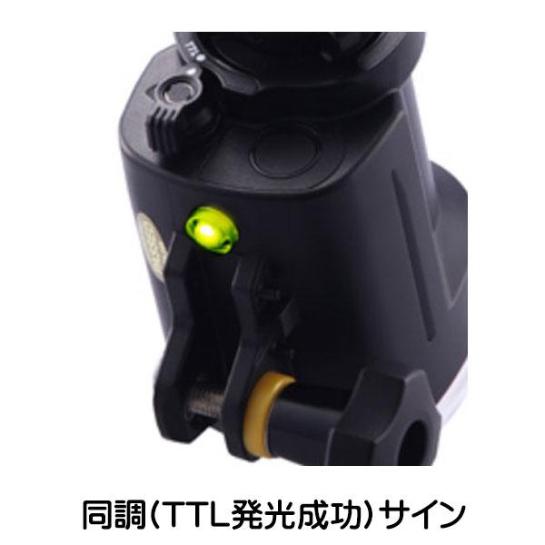 SEA&SEA シーアンドシー YS-03 SOLIS ディフューザー付属 SEA&SEA シーアンドシー YS-03 SOLIS ディフューザー付属