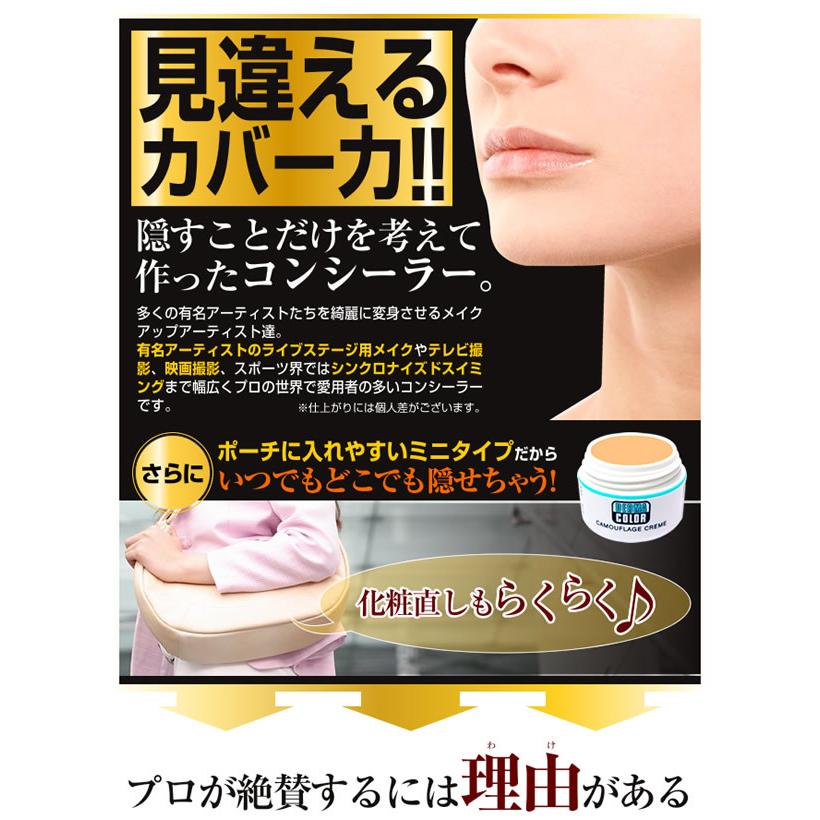DERMA COLOR ダーマカラー カモフラージュ パーフェクトコンシーラー  