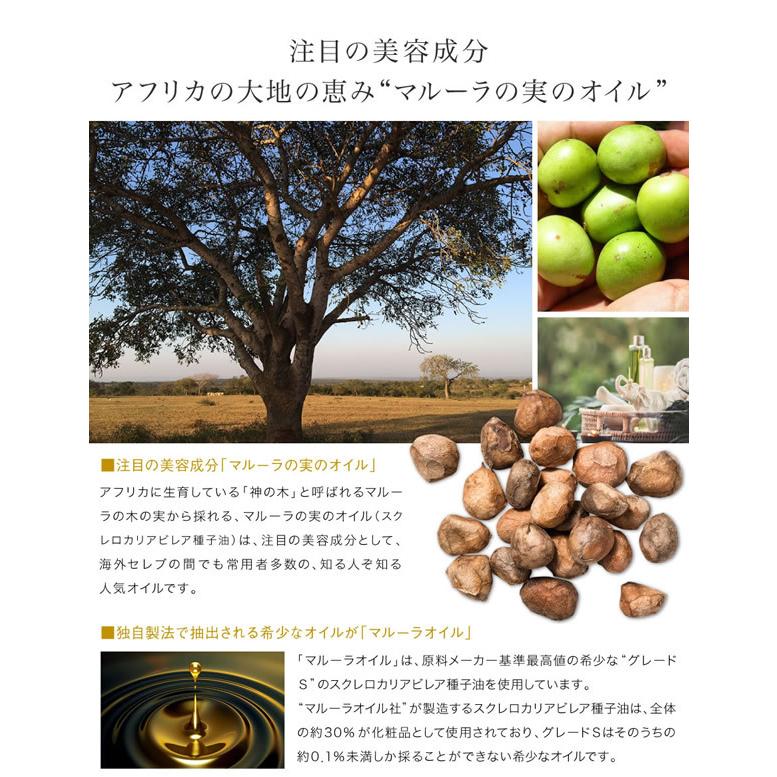 おまけ付き マルーラオイル プレミアム 32ml 送料無料 美容オイル マルーラの実 ピュアオイル スクレロカリアビレア種子油 ハリ 保湿 022 4719 ファインドイット 通販 Yahoo ショッピング