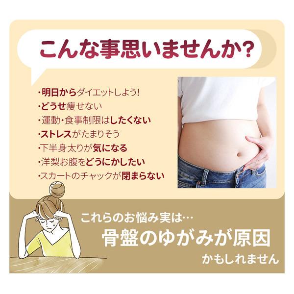 芦屋美整体 骨盤スリム3Dエアー (送料無料) 骨盤スリム 3Dエアー 骨盤