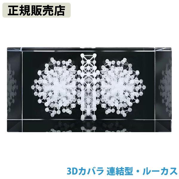 正規販売店 3Dカバラ連結型・ルーカス (送料無料)