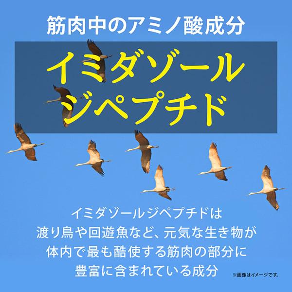 リニューアル イミダゾールジペプチド濃縮 180粒 (メール便送料無料) サプリメント イミダ ペプチド アミノ酸結合体｜findit｜04