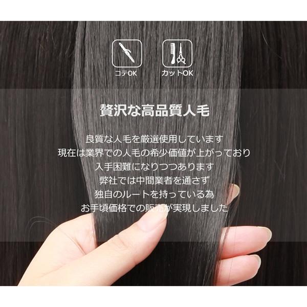 私元気 人毛 3Dポイントウィッグ 20cm BAZF710-20 (送料無料) 部分