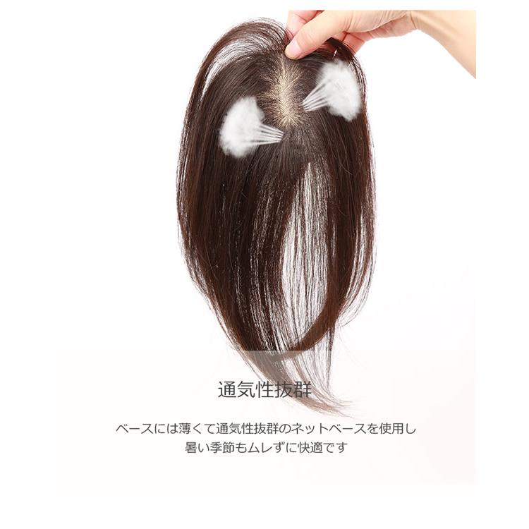 私元気 人毛 3Dポイントウィッグ 20cm BAZF710-20 (送料無料) 部分ウィッグ かつら ポイントウィッグ 女性 レディース つむじ付き 通気性 薄毛対策 白髪隠し つけ毛 ブラック ブラウン 超軽量 通気性 頭頂部 滑り止め ナチュラル デイリーウィッグ 簡単装着 ミセス 私元気 人毛 3Dポイントウィッグ 20cm BAZF710-20 (送料無料) 部分