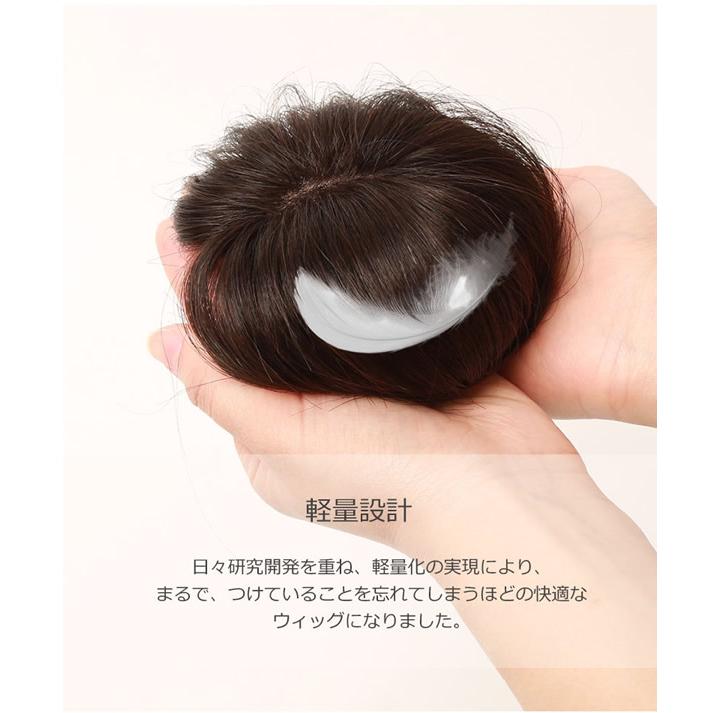 私元気 人毛 3Dポイントウィッグ 20cm BAZF710-20 (送料無料) 部分