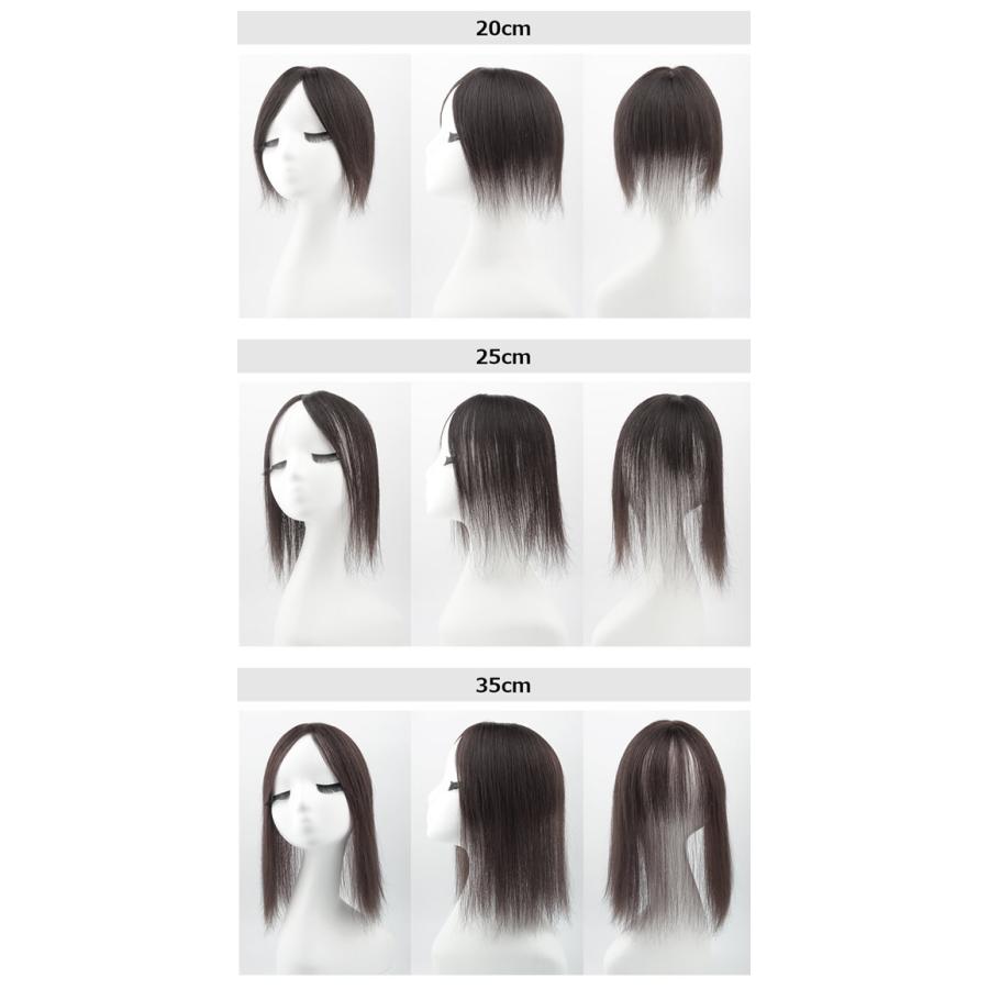 私元気 人毛 3Dポイントウィッグ 20cm BAZF710-20 (送料無料) 部分