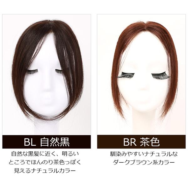 私元気 人毛 3Dポイントウィッグ 25cm BAZF710-25 (送料無料) 部分ウィッグ ウィッグ かつら 白髪かくし つけ毛 トップカバー 女性 レディース つむじ付き 自然