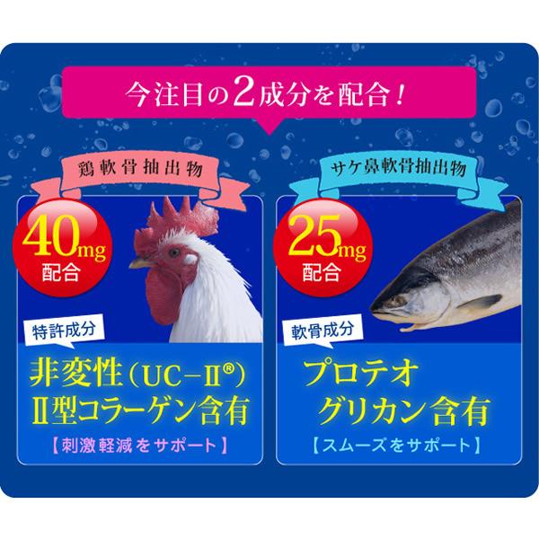 深潤EX (しんじゅんEX) 30粒 (メール便送料無料) プロテオグリカン 非変性2型コラーゲン UC-2 UC-II グルコサミン コンドロイチン 関節 軟骨 節々 ふしぶし | ブランド登録なし | 02