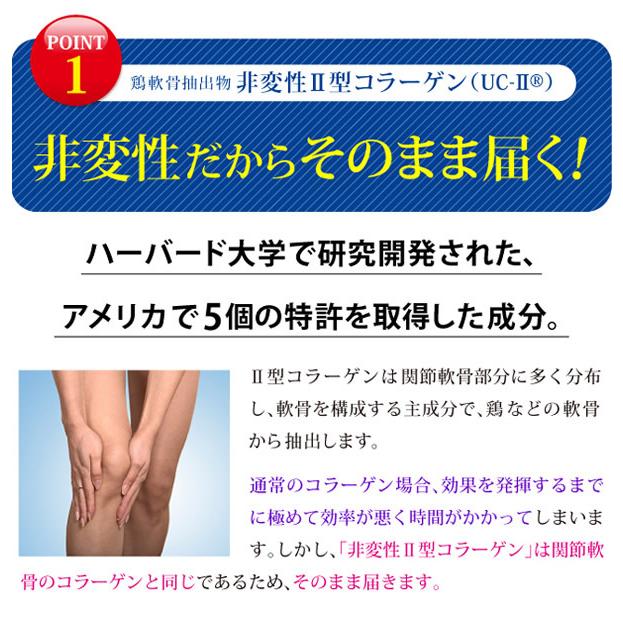 深潤EX (しんじゅんEX) 30粒 (メール便送料無料) プロテオグリカン 非変性2型コラーゲン UC-2 UC-II グルコサミン コンドロイチン 関節 軟骨 節々 ふしぶし | ブランド登録なし | 04