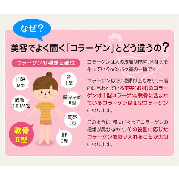 深潤EX (しんじゅんEX) 30粒 (メール便送料無料) プロテオグリカン 非変性2型コラーゲン UC-2 UC-II グルコサミン コンドロイチン 関節 軟骨 節々 ふしぶし | ブランド登録なし | 05