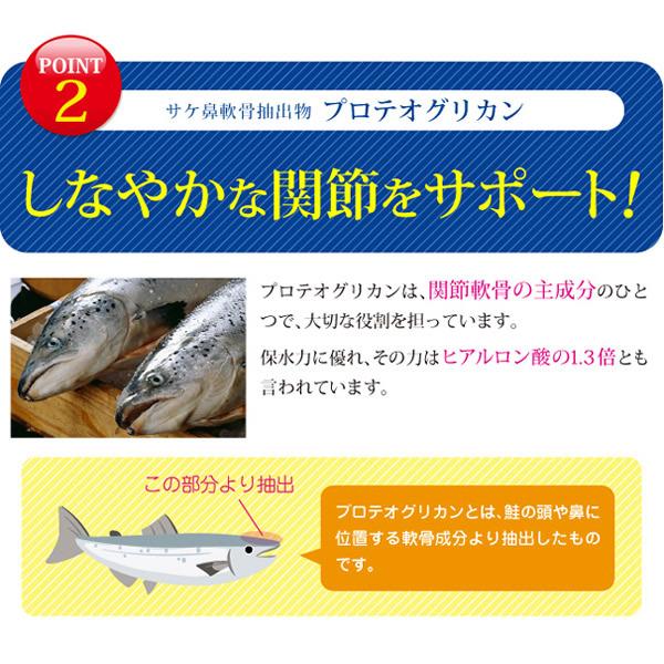 深潤EX (しんじゅんEX) 30粒 (メール便送料無料) プロテオグリカン 非変性2型コラーゲン UC-2 UC-II グルコサミン コンドロイチン 関節 軟骨 節々 ふしぶし | ブランド登録なし | 07