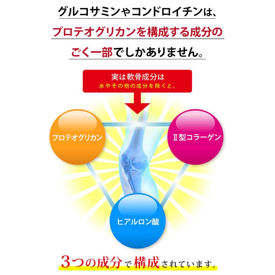 深潤EX (しんじゅんEX) 30粒 (メール便送料無料) プロテオグリカン 非変性2型コラーゲン UC-2 UC-II グルコサミン コンドロイチン 関節 軟骨 節々 ふしぶし | ブランド登録なし | 09