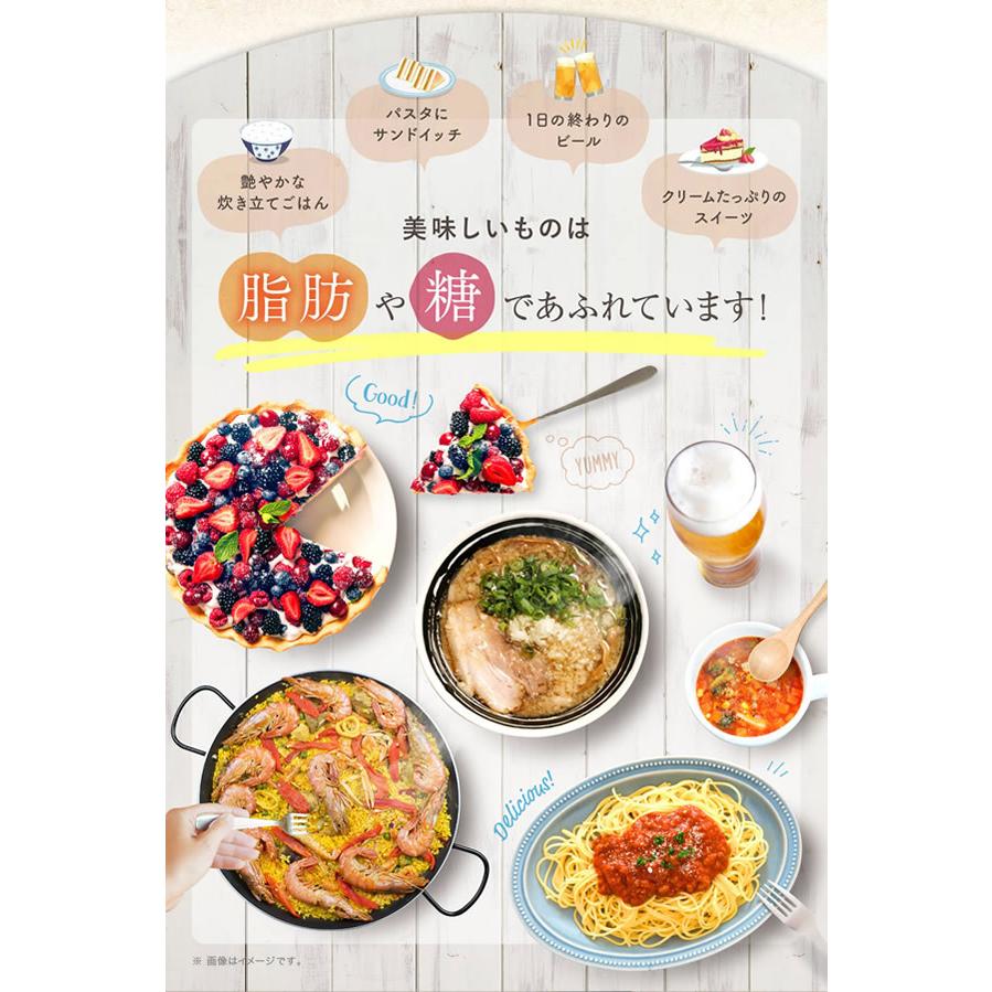 オサエルEX 120粒 (メール便送料無料) 脂肪 糖 ダイエット ターミナリアベリリカ 内臓脂肪 BMI 肥満 血糖値 中性脂肪 糖質制限 食事制限