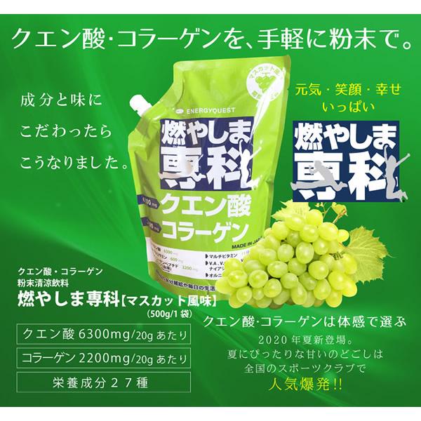 燃やしま専科 マスカット風味 (500g入り) (送料無料) ダイエット 飲料 ドリンク クエン酸 コラーゲン 食物繊維 健康 美容 運動 サポート オルニチン ショウガ末｜findit｜02