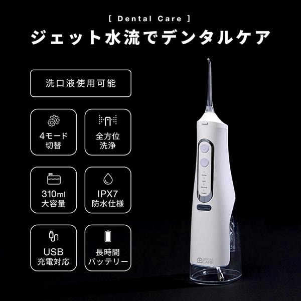口腔洗浄器 電動歯ブラシ デンタルフロス ジェット水流でデンタルケア おまけ付き (送料無料) マウスウォッシュ ジェット 水流 歯間 歯周ポケット IPX7 洗口液の画像