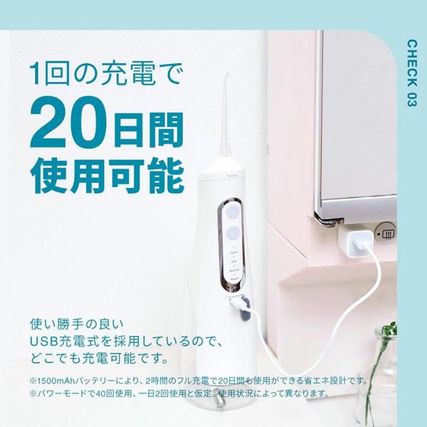 口腔洗浄器 電動歯ブラシ デンタルフロス ジェット水流でデンタルケア おまけ付き (送料無料) マウスウォッシュ ジェット 水流 歯間 歯周ポケット IPX7 洗口液の画像