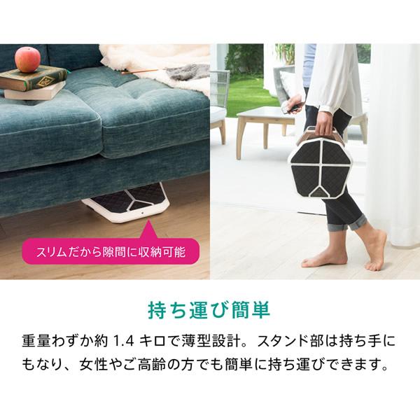 スリムパッド レグネス (送料無料) EMS 筋トレ ダイエット