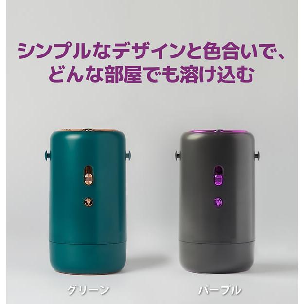 ポータブル多機能ミニ乾燥機 (送料無料) 乾燥機 ポータブル 洗濯 梅雨