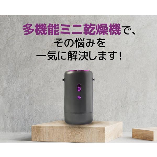 ポータブル多機能ミニ乾燥機 (送料無料) 乾燥機 ポータブル 洗濯 梅雨