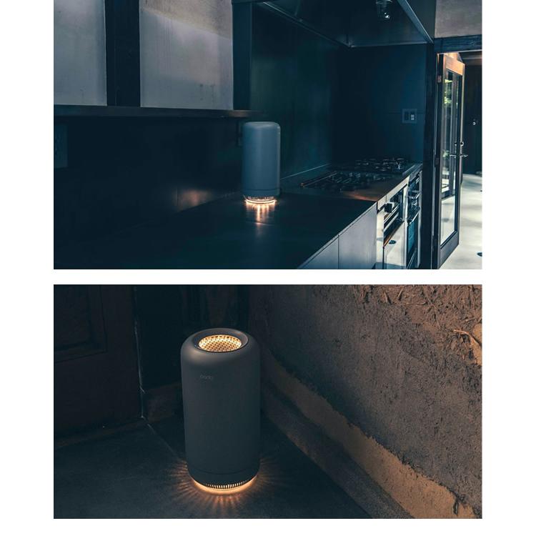 cado（カドー） 除菌脱臭機 SAP-003 (送料無料) 脱臭機 オゾン 消臭