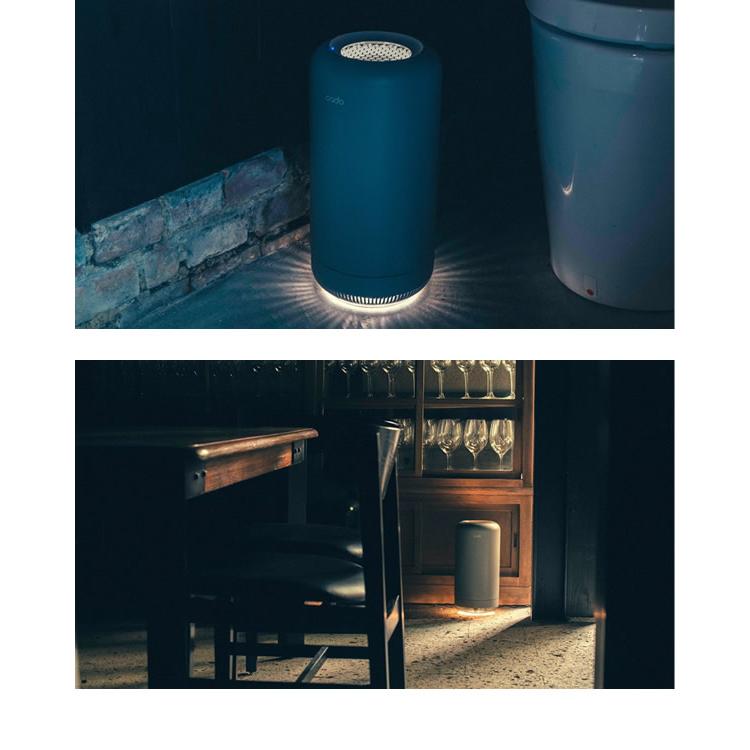 cado（カドー） 除菌脱臭機 SAP-003 (送料無料) 脱臭機 オゾン 消臭