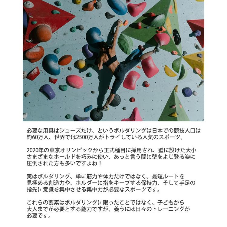 ポータブルロック ボルダリング 練習 収納式プライベートボルダーウォール「ポータブル・ロック」｜家庭用